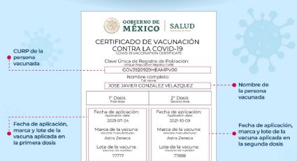 ¿Cómo DESCARGAR el CERTFICADO DE VACUNACIÓN Covid-19 para la DOSIS de REFUERZO? Paso a Paso