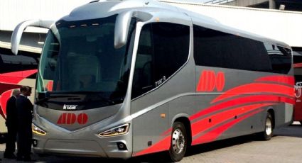 Descuento de estudiante para autobús 2022: ¿Cómo obtener y cuándo inician?
