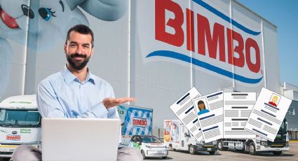 Bimbo lanza VACANTES 100% remotas para trabajar desde casa con sueldos desde 64 mil pesos