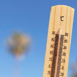 Segunda ola de calor en México 2024: Lista de estados que se ven más afectados por incremento de temperaturas