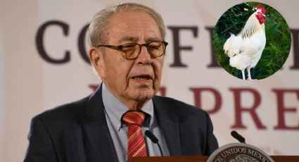 Secretario de Salud desmiente a la OMS; no hubo muerte de Gripe Aviar AH5N2 en México