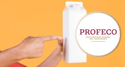 Esta es la mejor marca de “leche” de soya según Profeco