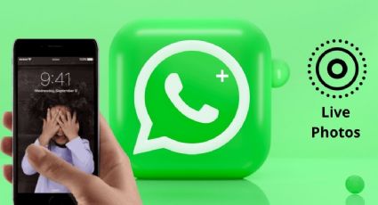 WhatsApp estrena Live Photos: así podrás compartir tus fotos en movimiento