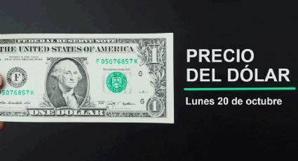 Precio del dólar hoy lunes 20 de octubre 2025: Así está el tipo de cambio en México