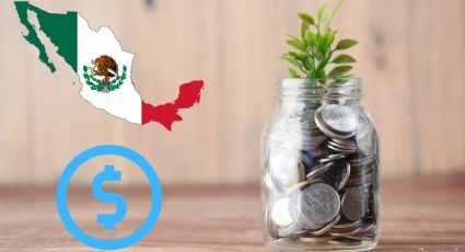 ¿Cuánto dinero gano al mes si invierto 10,000 pesos en Cetes?