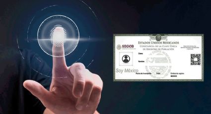 CURP biométrica: ¿Cómo puedes hacer el trámite con foto y huellas dactilares en octubre 2025?