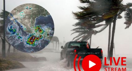 Huracán Priscilla: Sigue en VIVO la ruta hacia territorio mexicano este miércoles
