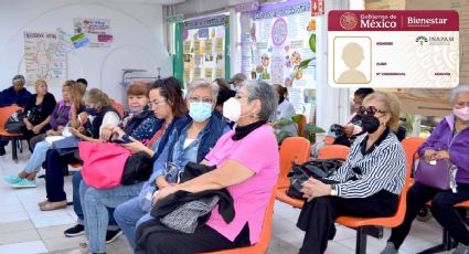 INAPAM: Estos son los beneficios que adultos mayores tienen con la tarjeta y pocos aprovechan