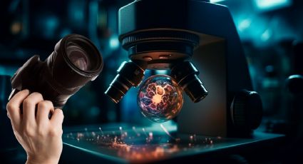 Así se ve la ciencia en 2025: las fotos más sorprendentes elegidas por Nature