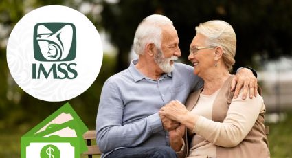 Modalidad 40 del IMSS: Los nuevos requisitos para tu pensión en 2026