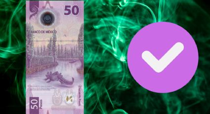 ¿Cuánto es lo máximo que pagan los coleccionistas por el billete de 50 pesos del ajolote en 2026?