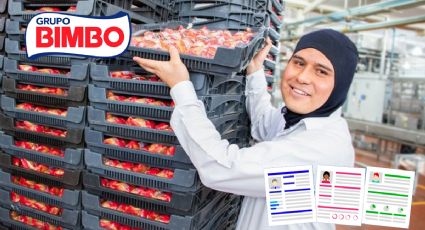Bimbo lanza trabajo con sueldo de 27,800 pesos, bonos, descuentos en productos y vales de despensa