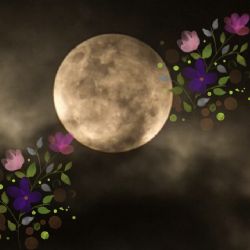 Luna de las flores, Eta Acuáridas y más: aquí los eventos astronómicos de mayo 2025