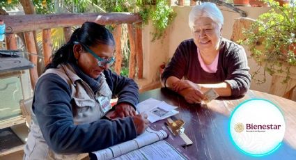 Secretaría del Bienestar e IMSS anuncian noticia que hará muy felices a los adultos mayores en 2025
