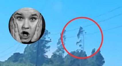¿Fue real? Captan en video el momento en el que un árbol 'camina'