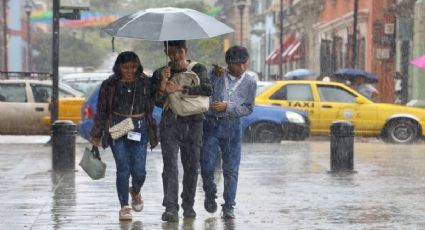 Temporada de lluvias 2025: Así estará el clima en México del 1 al 15 de junio; ¿dónde lloverá más?