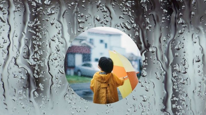 Ciclón tropical “Flossie”: Lista de estados con lluvias y tormentas este fin de semana