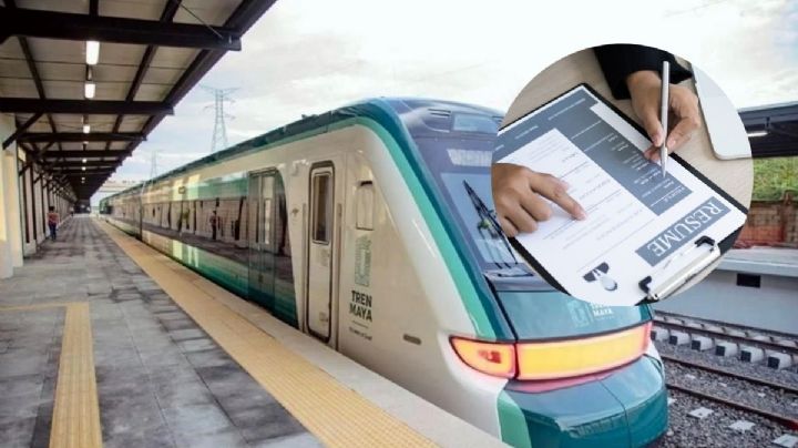 Tren Maya busca personal; requisitos para ser operador de autotanques