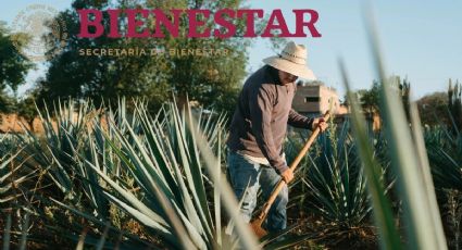 Este programa te apoya con un PAGO de 6,450 pesos al mes y no es la Pensión del Bienestar