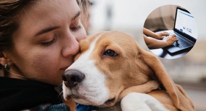 CURP para mascotas: ¿Cuál es su costo en junio 2025?