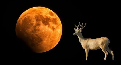 Luna de Ciervo julio 2025: ¿Cuándo y a qué hora se verá en México?