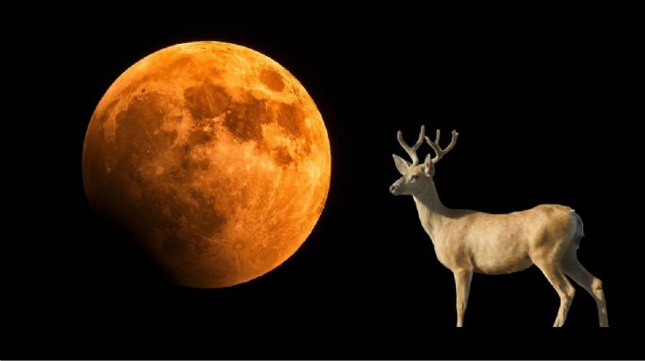 Luna de Ciervo julio 2025: ¿Cuándo y a qué hora se verá en México?