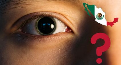 CURP Biométrica: Estas son las partes de tu CUERPO que serán escaneadas para el documento