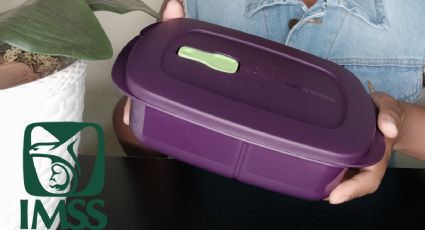 Ley Tupperware: Proponen darles prestaciones e IMSS a personas vendedoras por catálogo