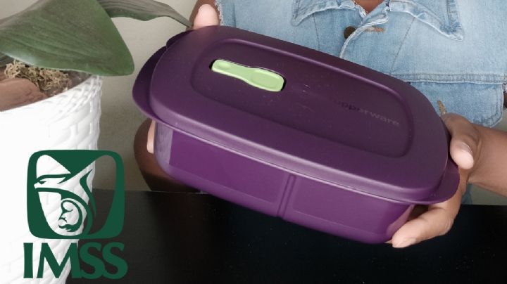 Ley Tupperware: Proponen darles prestaciones e IMSS a personas vendedoras por catálogo