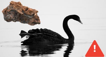 3I/ATLAS: ¿Qué es el efecto "cisne negro" y como podría afectar la Tierra, según Avi Loeb?