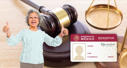 Este es el servicio gratuito al que puedes acceder en enero si tienes tarjeta INAPAM y más de 60 años