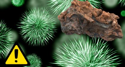 Teoría sugiere que 3I/ATLAS es una nave aláenigena que podría dispersar microorganismos en la Tierra