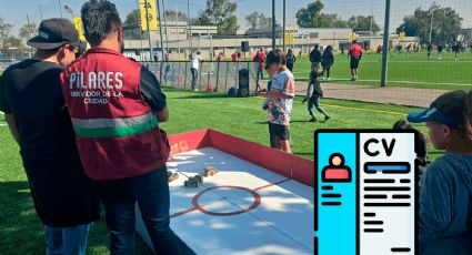 Pilares CDMX Convocatoria 2026: ¿Cómo aplicar por los empleos de hasta 14,600 al mes? | REQUISITOS