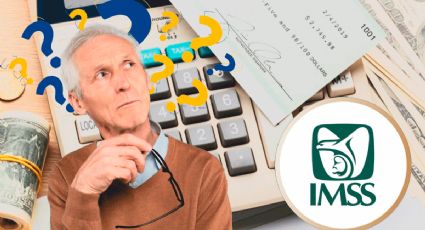 Pensión IMSS: ¿Qué adultos mayores deben presentar declaración anual en 2026?