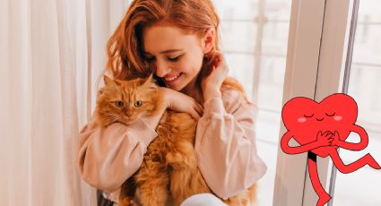 ¿El ronroneo de un gato puede mejorar la salud? Especialistas revelan sus beneficios
