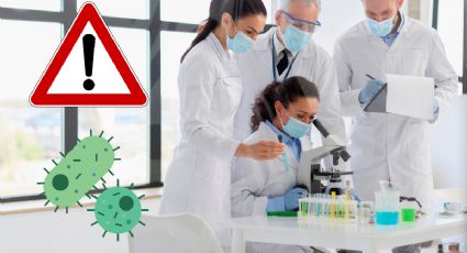 Científicos reactivan “células zombis” y abren nuevas puertas en la biología