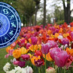 Horóscopo mayo 2026: ¿Qué le depara a los signos zodiacales en el quinto mes del año?