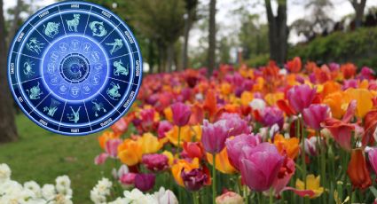 Horóscopo mayo 2026: ¿Qué le depara a los signos zodiacales en el quinto mes del año?