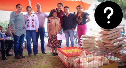 Con Huevos a Paso Firme: ¿cómo pedir gallinas para producir huevo en casa si vives en Hidalgo?