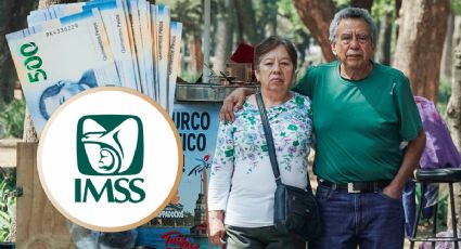 Pensión IMSS: ¿Qué adultos mayores recibirán más dinero en su depósito de mayo 2026?