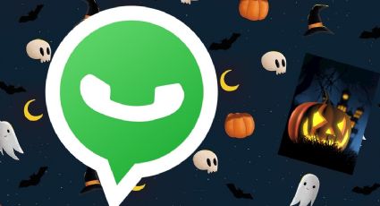 ¿Cómo poner el icono naranja de Halloween en WhatsApp? PASO A PASO