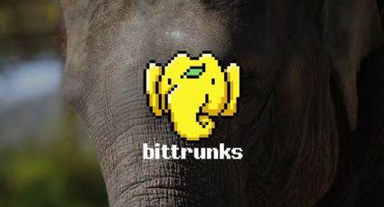 NFT creado por un elefante será subastado en OpenSea; esto harán con el dinero que ganen