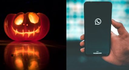 ¿Cómo y dónde descargar los STICKERS para HALLOWEEN en WhatsApp? PASO A PASO