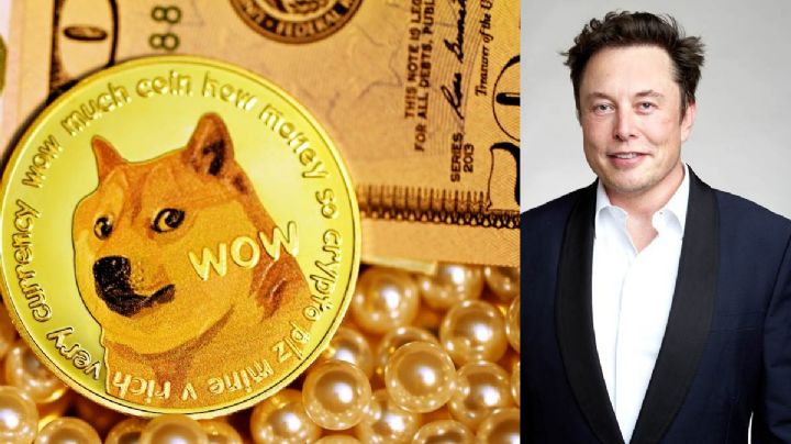 Dodgecoin y Shiba Inu: Elon Musk impulsa el precio de las criptomonedas; ¿cuánto valen?