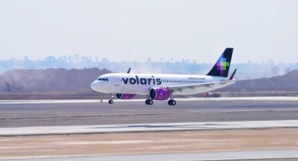 ¿Qué pasó con Volaris y Viva Aerobús y por qué Profeco suspendió a ambas aerolíneas?