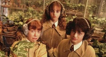 ¿Habrá reunión? Elenco original de Harry Potter podría juntarse para celebrar su aniversario