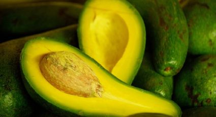 ¿Por qué SUBIÓ el precio del AGUACATE? El KILO se disparó en México este noviembre 2021