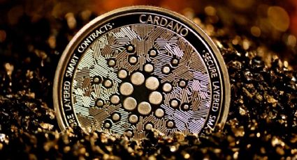 Sujeto nombra CARDANO a su hijo; Charles Hoskinson, fundador de la criptomoneda, lo felicita