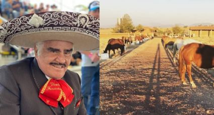 ¿Cuánto CUESTA el Rancho de Los 3 Potrillos de Vicente Fernández? Ubicación y características