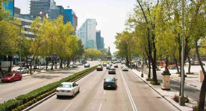 Placas CDMX 2022: ¿Cuánto pagarás de MULTA por emplacar en otros estados si vives en la capital?